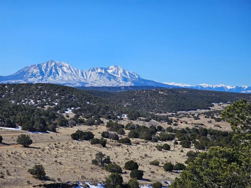 56 Silver Spurs Ranch : Walsenburg : Huerfano County : Colorado