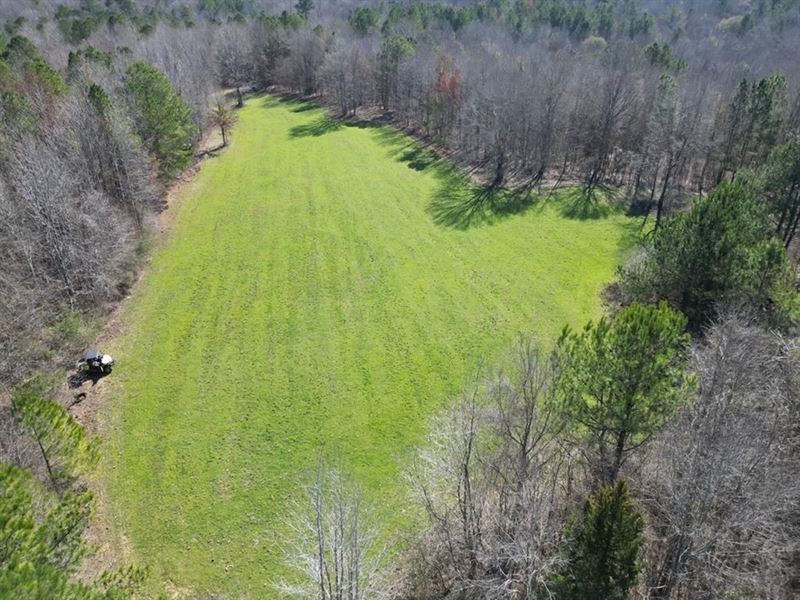 Hunting Land for Sale with Lodge : Meadville : Franklin County : Mississippi