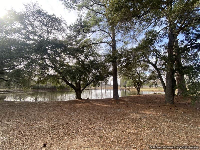 Beautiful Farm with Amenities : Terry : Hinds County : Mississippi