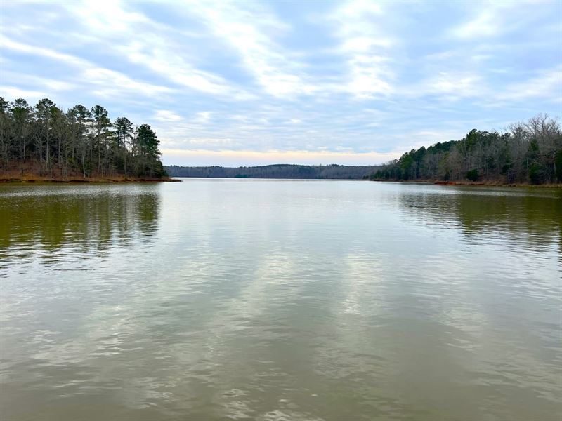 Timber & Hunt, Lake Russell : Elberton : Elbert County : Georgia