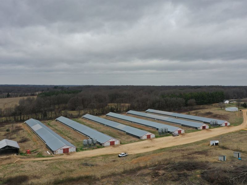 North Fork Broiler Farm : Dukedom : Weakley County : Tennessee