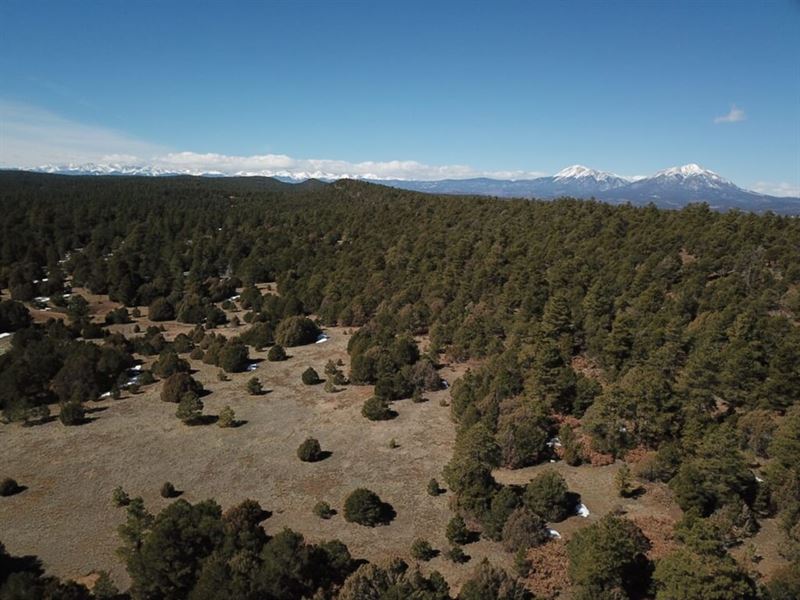 4 Delagua Canyon : Trinidad : Las Animas County : Colorado