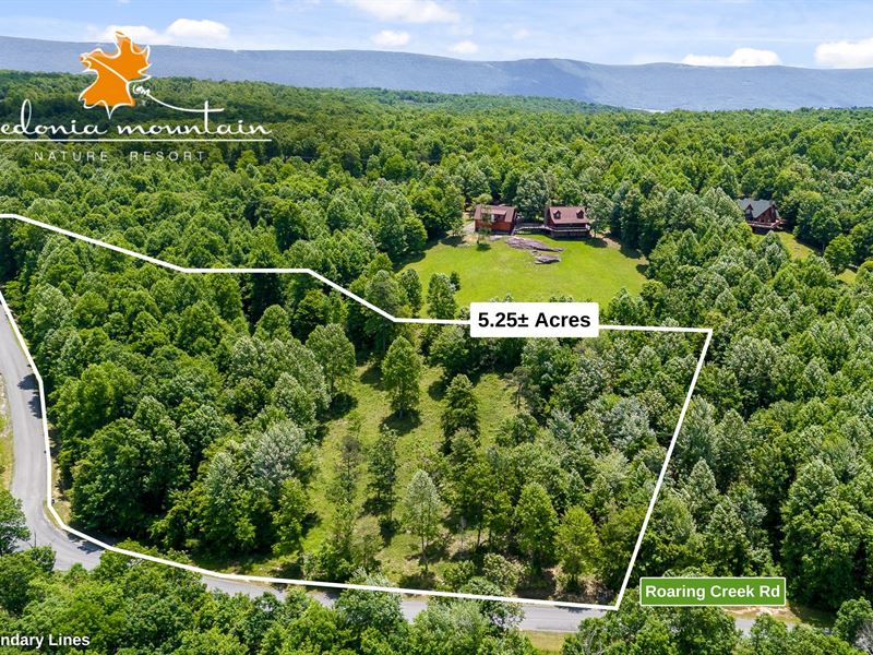 5.25 Ac in TN : Dunlap : Sequatchie County : Tennessee