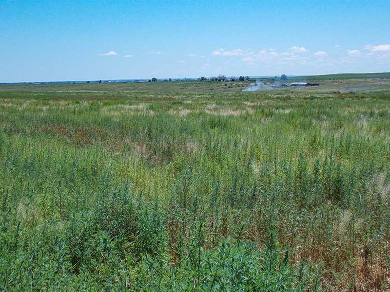 Doolin Farm Property for Sale : Boone : Pueblo County : Colorado