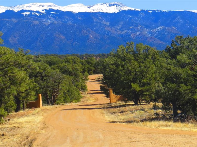 8 Milligan Ranch : Gardner : Huerfano County : Colorado