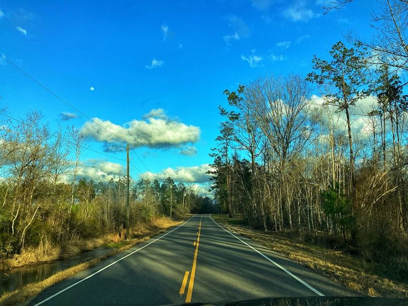 Green Island Road Tract, Calcasieu : Starks : Calcasieu Parish : Louisiana