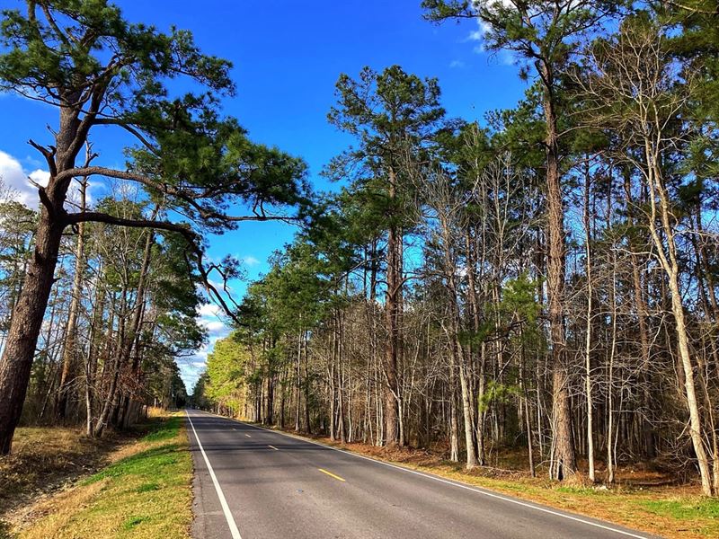 Green Moore Road Tract, Calcasieu : Starks : Calcasieu Parish : Louisiana