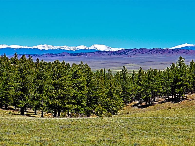 Buffalo Ridge Ranch : Hartsel : Park County : Colorado