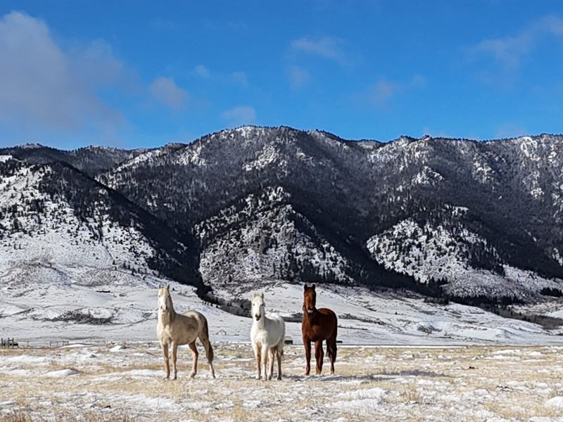 Maverick Way 40 : Laramie : Albany County : Wyoming