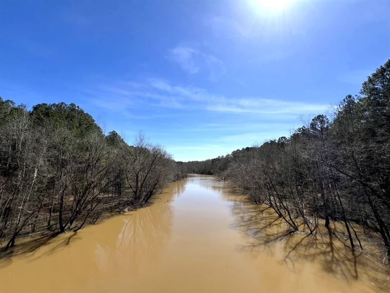 Beaverdam Creek Hunting & Timber : Elberton : Elbert County : Georgia