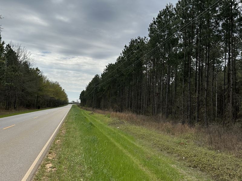 29 Acres Butler St : Atmore : Escambia County : Alabama