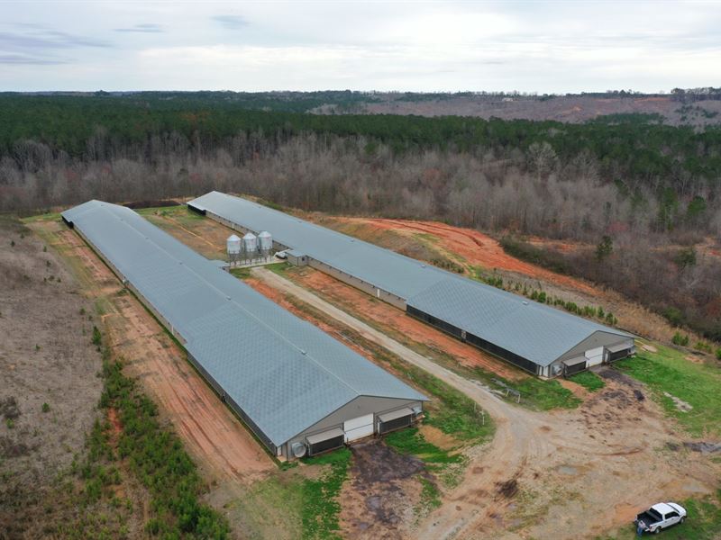 Southern Empire Broiler Farm : Wadley : Randolph County : Alabama