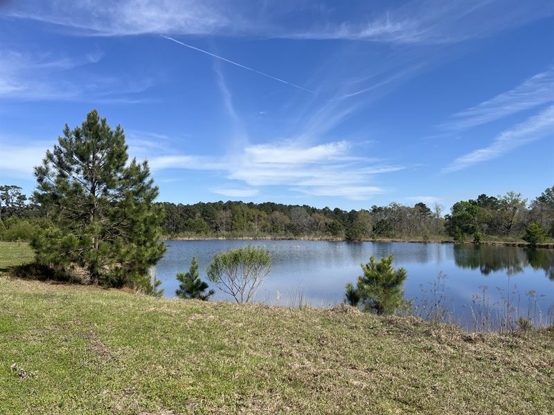 28+/- Acre Patterson Road Tract : Dothan : Houston County : Alabama