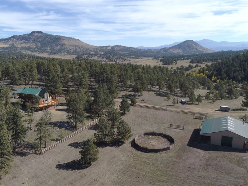 Rockin Horse Ranch : Guffey : Park County : Colorado