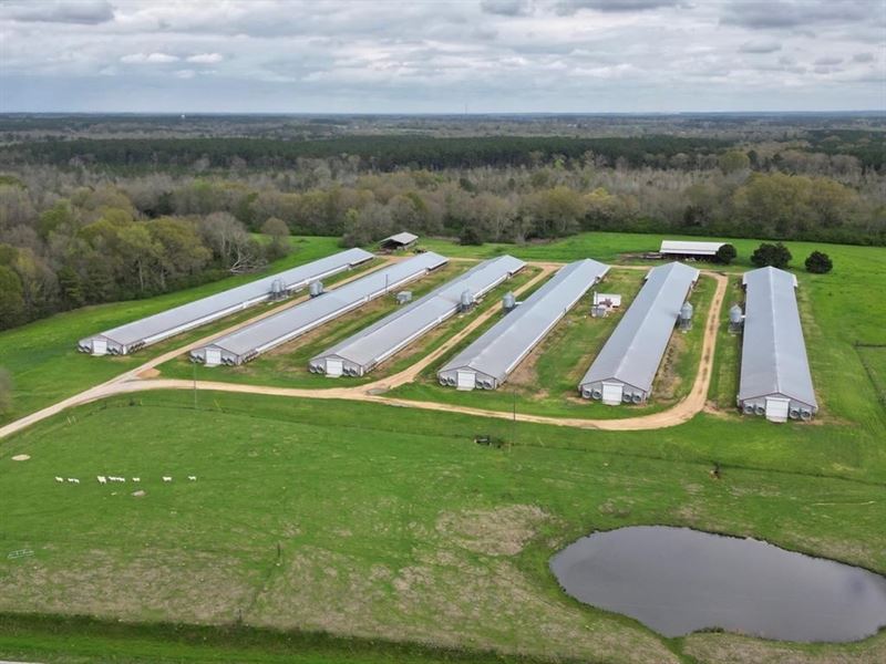 6 House Poultry Broiler Farm for Sa : Tylertown : Walthall County : Mississippi