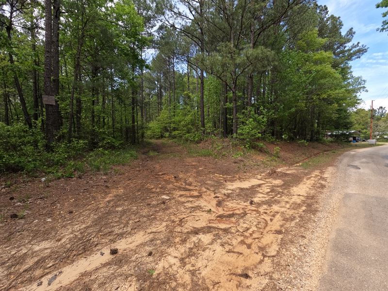 Prentiss County, MS 339 Acres : New Site : Prentiss County : Mississippi