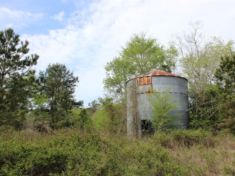 Beautiful Homesite on a Paved Road : Elko : Houston County : Georgia