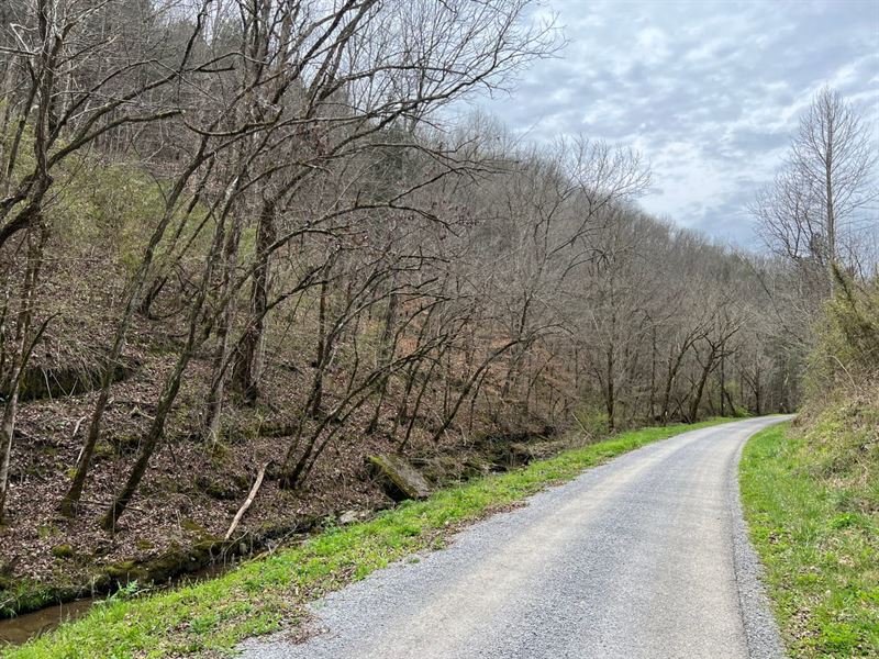 Turkey Branch Rd : Liberty : Cannon County : Tennessee