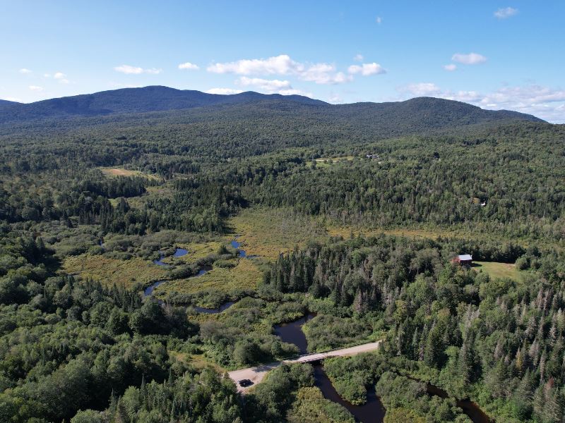 Perkins Brook Forest : Belivdere : Lamoille County : Vermont