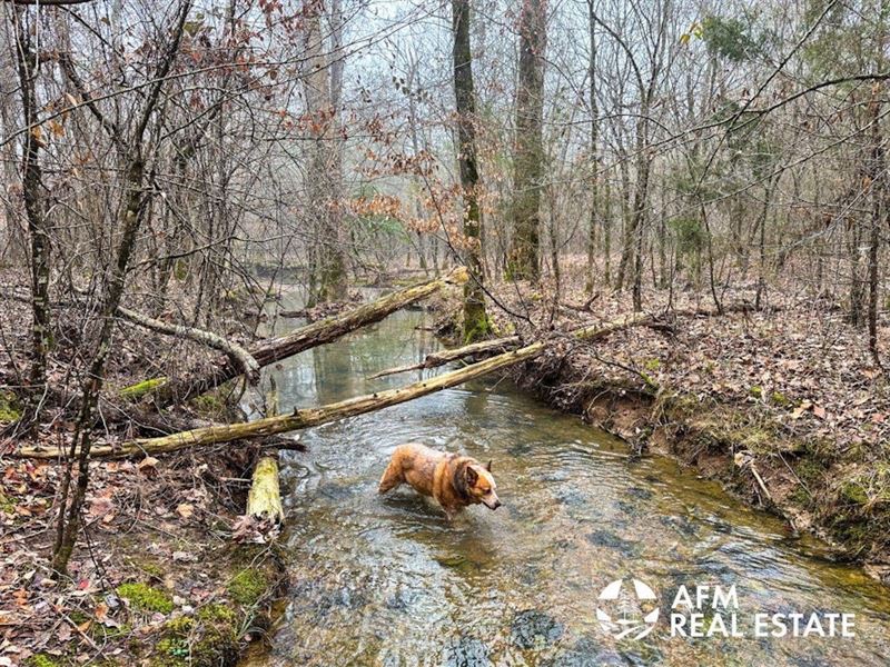 Brooks Creek : De Queen : Sevier County : Arkansas