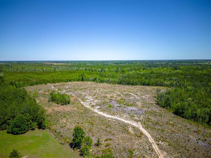 190 Acres of Pure Outdoor Paradise : Bristol : Pierce County : Georgia