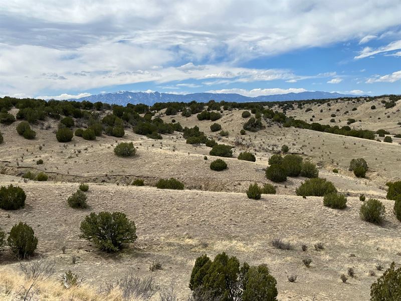 Black Horse at Hatchet Ranch : Pueblo : Pueblo County : Colorado