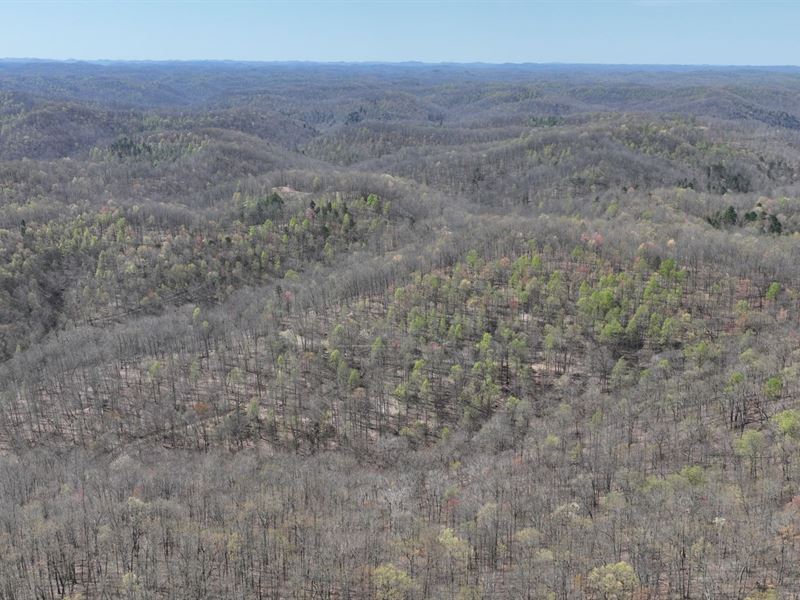 30 Ac in Lincoln County, WV : Alkol : Lincoln County : West Virginia