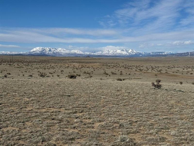 Lot 202 Colorado Land & Livesto : Walsenburg : Huerfano County : Colorado