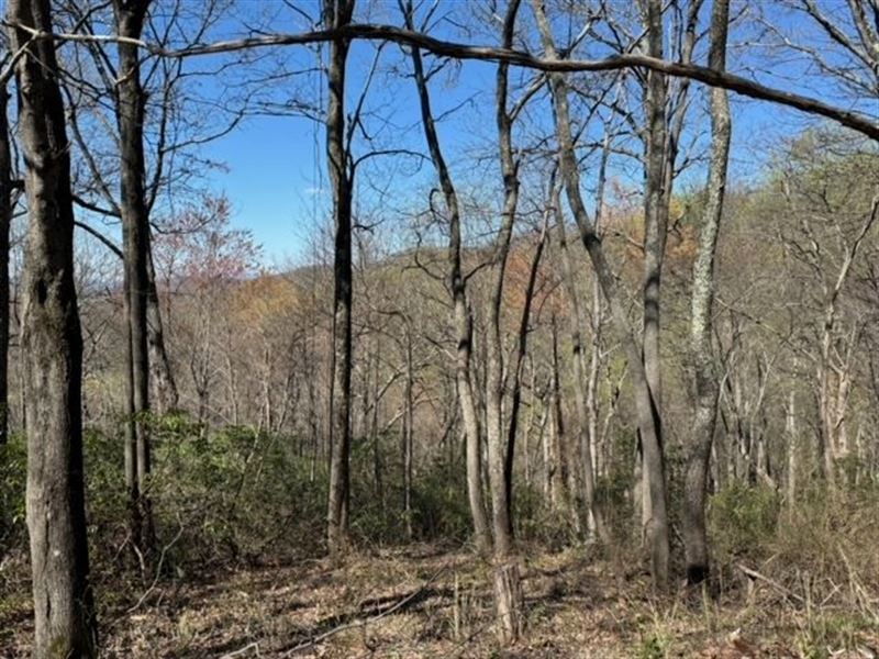 Lot 11, 5.09 Acres On Hideawa : Landrum : Greenville County : South Carolina