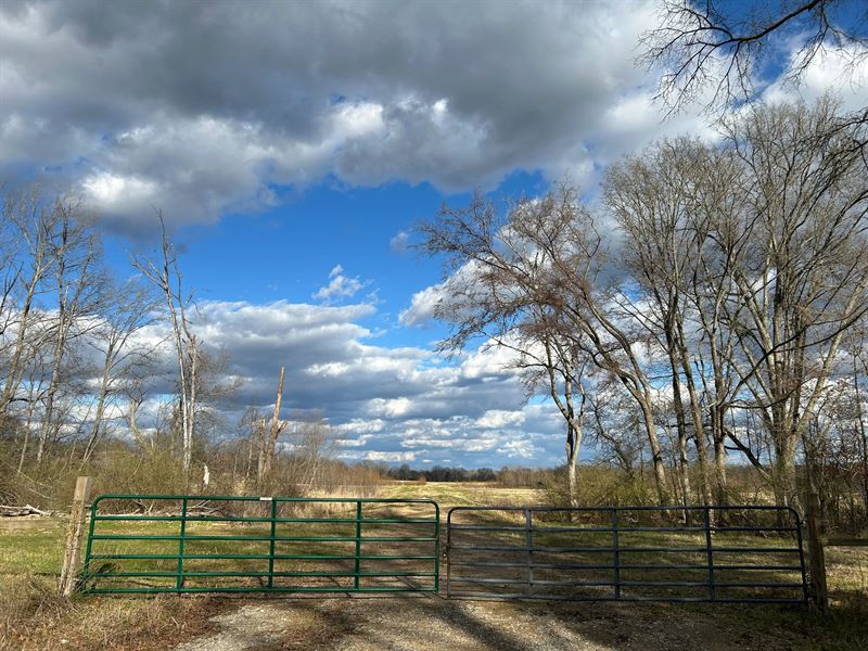 78 Acres in Canton in Madison Count : Canton : Madison County : Mississippi