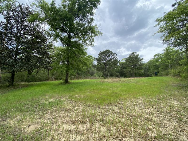 Lonnie Walker Road Tract : Citronelle : Mobile County : Alabama