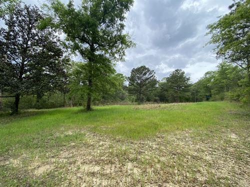 Mobile County Alabama Farms for Sale : FARMFLIP