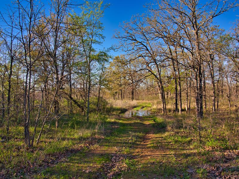 716 Acre Mountain Retreat : McAlester : Pittsburg County : Oklahoma