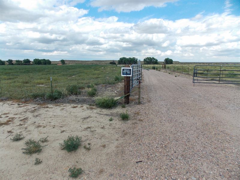 49.5 Acres Near Boone, CO for Sale : Boone : Pueblo County : Colorado