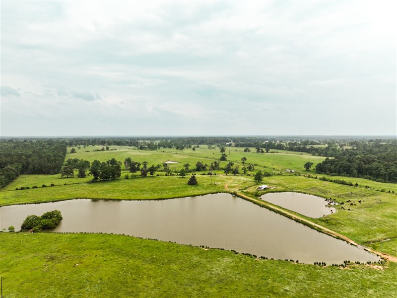 697 Acres 3 Points Ranch Hwy 21 : Crockett : Houston County : Texas