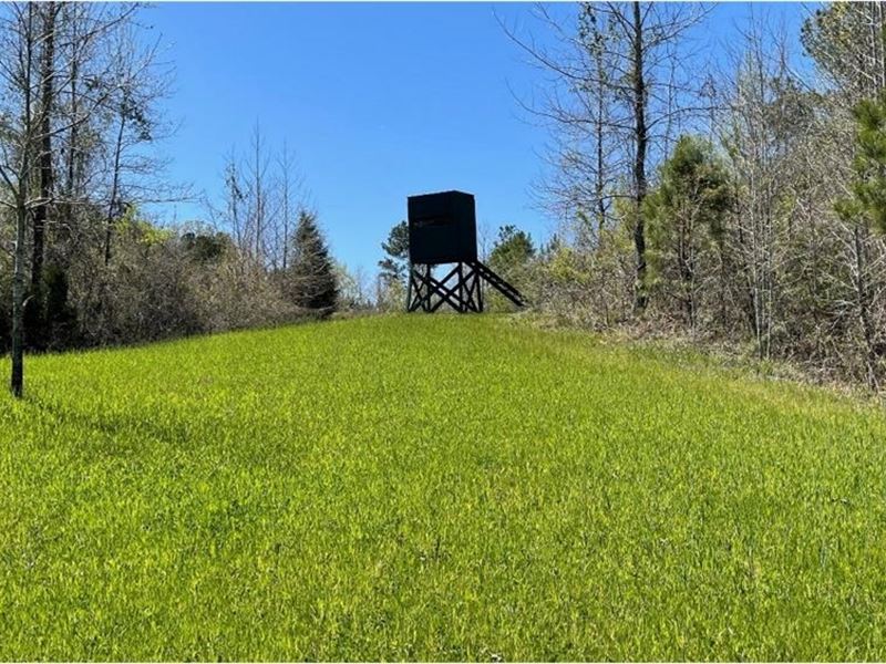 255 Acres in Attala County in Kosci : Kosciusko : Attala County : Mississippi