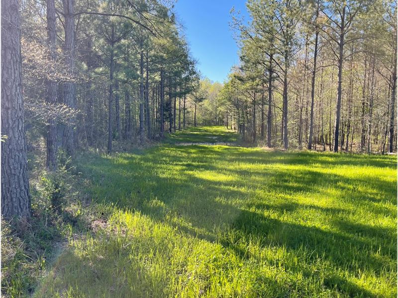 58 Acres in Choctaw County in Acker : Ackerman : Choctaw County : Mississippi