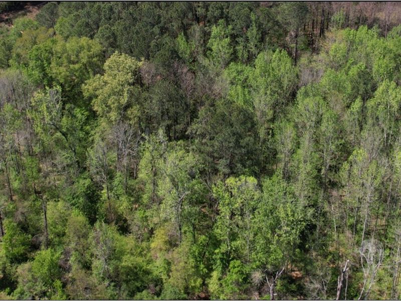 31 Acres in Rankin County in Brando : Brandon : Rankin County : Mississippi