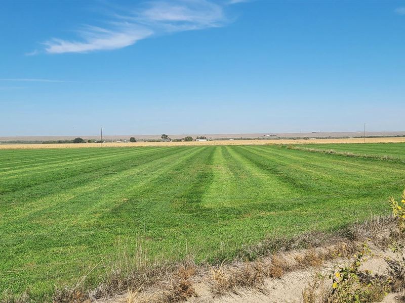 36 Acres, Keith County, Big Springs : Big Springs : Keith County : Nebraska