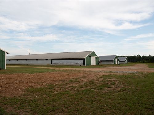 Arkansas Poultry Farms for Sale : FARMFLIP