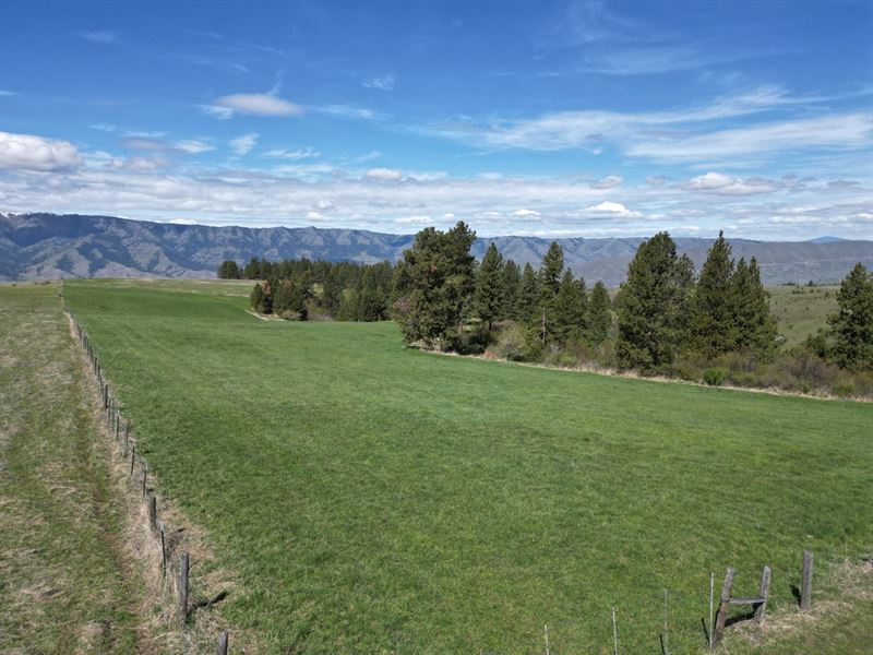 Banner Ridge View Acreage : White Bird : Idaho County : Idaho