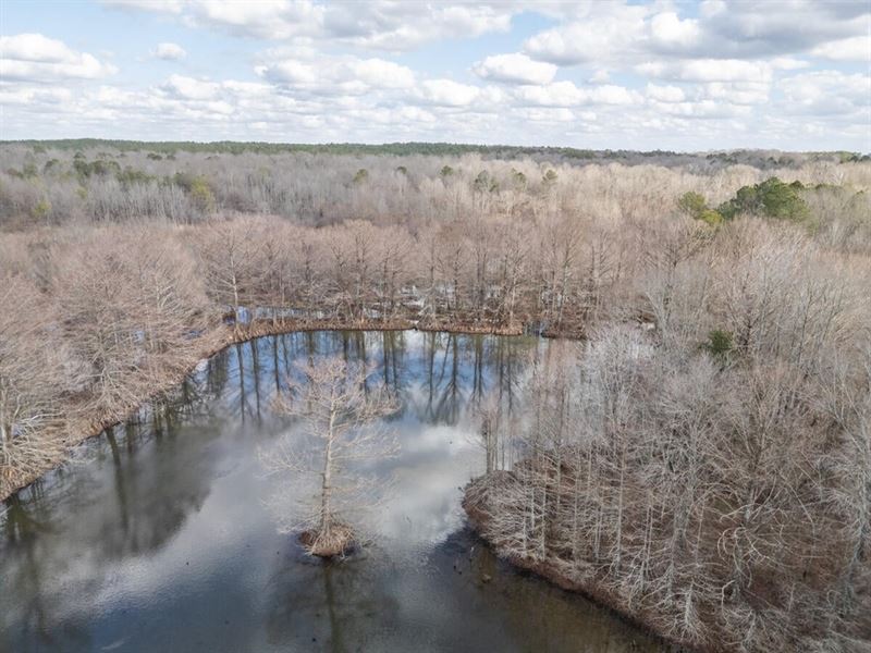 Hunting Land for Sale in Montgomery : Kilmichael : Montgomery County : Mississippi