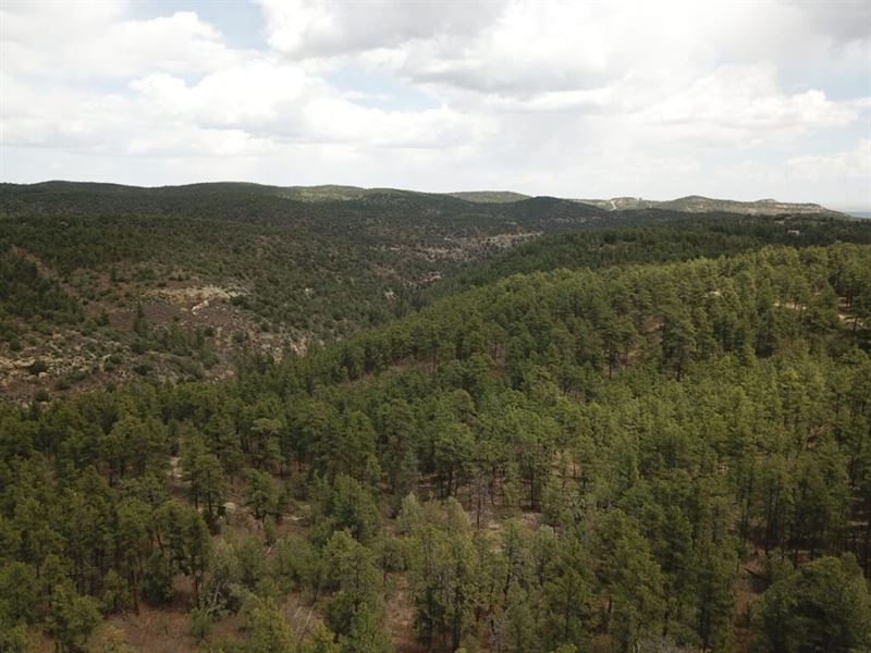 176 Timber Canyon : Trinidad : Las Animas County : Colorado