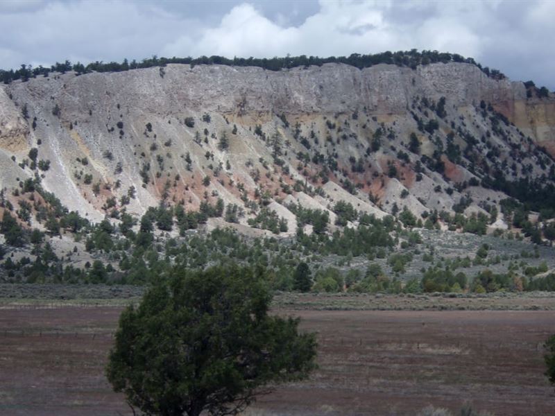 Gallina 10 Ac : Gallina : Rio Arriba County : New Mexico