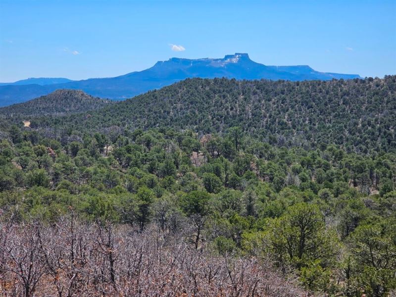 4 Fishers Peak Ranch : Trinidad : Las Animas County : Colorado