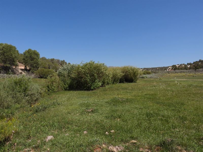 Little Mountain Deep Creek Ranch : Vernal : Uintah County : Utah