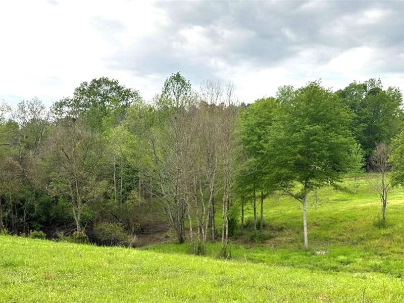 40 Acres in Simpson County in Mende : Mendenhall : Simpson County : Mississippi