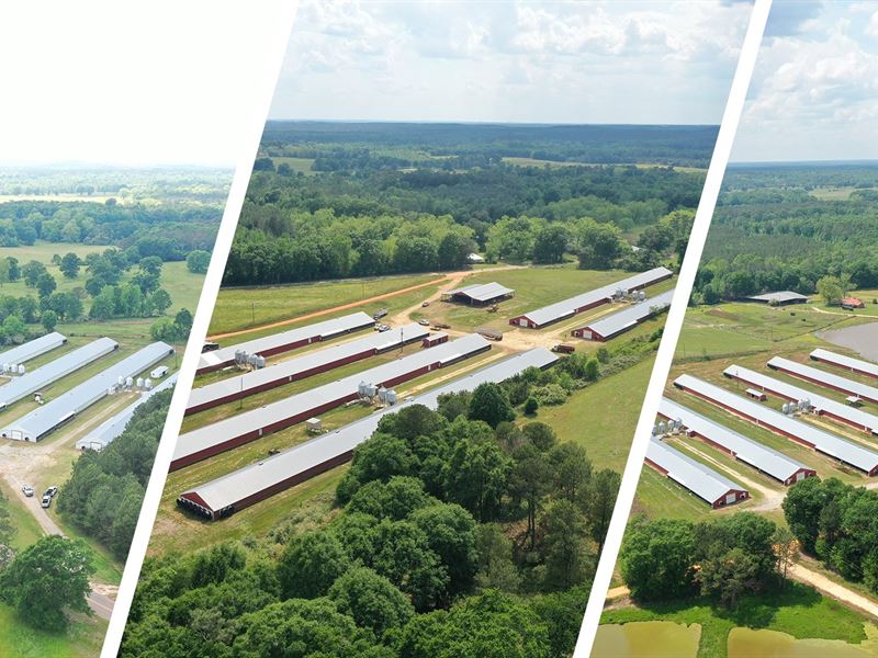 Reduced, Holladay Broiler Farms : Rutledge : Crenshaw County : Alabama