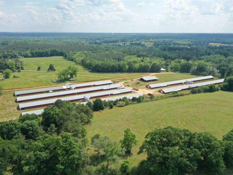 A&J Broiler Farm : Rutledge : Crenshaw County : Alabama