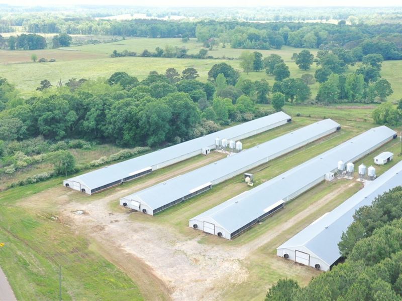 H&H Broiler Farm : Rutledge : Crenshaw County : Alabama